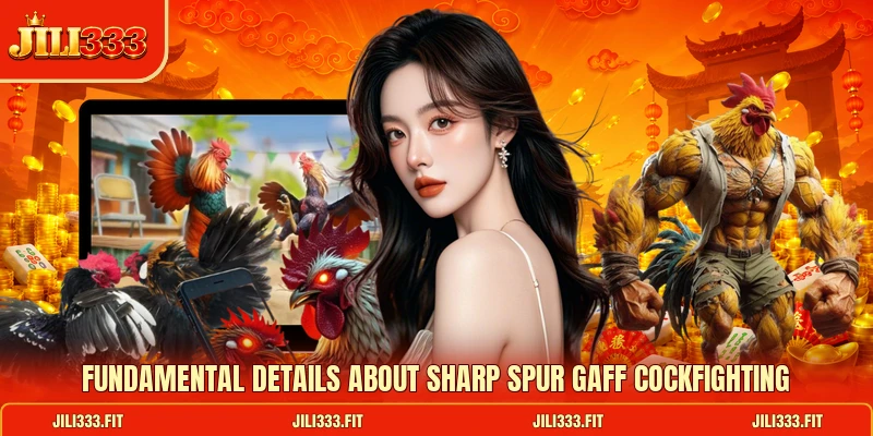 Fundamental details about sharp spur Gaff Cockfighting Fundamental details about sharp spur Gaff Cockfighting